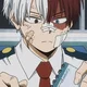 Shoto Todoroki