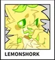 Lemon shork 
