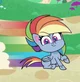 Pony Life - Rainbow