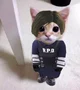 Cat Leon Kennedy