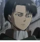 Levi Ackerman 