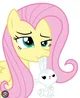 Fluttershy