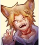 Wolf denki