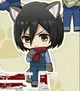 KITTEN Mikasa 