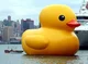 Giant Rubber Ducky