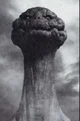 Mushroom Cloud Goji