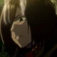 Mikasa Ackerman 