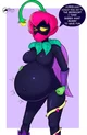 pregnant lily