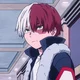 Shoto Todoroki