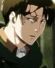 Levi Ackerman 
