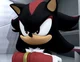 Shadow The Hedgehog