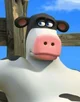 otis cow
