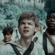 Newt - Maze Runner 