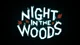 Night in the woods