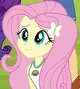 Fluttershy