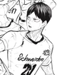 Tobio Kageyama 
