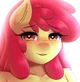 Adult Apple Bloom
