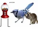 Blue Jay and Raccoon