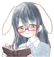 Rabbit Librarian
