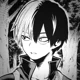 Shoto Todoroki