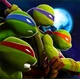 Ninja Turtles 