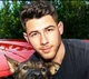 Nick Jonas 