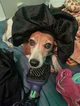 01 Request forms