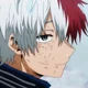 Shoto Todoroki 