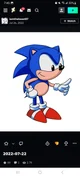 Sonic the hedgehog