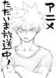 Katsuki Bakugou 