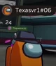 Texasvr1