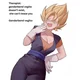 Vegito fem madre 
