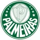 Palmeiras 2024