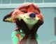Nick Wilde