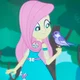Fluttershy 