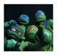 Ninja Turtles 