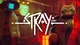 Stray-Cat game