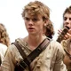 Newt - Maze Runner