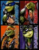 TMNT bayverse