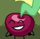 Cherry Jr