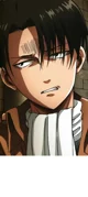 Levi Ackerman 