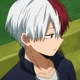 Shoto Todoroki