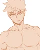 Katsuki Bakugou 