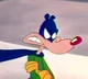 Pith possum