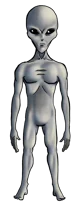 Grey Aliens
