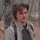 Steve Harrington 