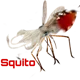Squito