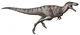 Asiatyrannus Xui