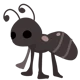 ant