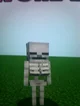 Minecrat fem skeleto